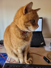 Thread 1 - Lifeboat Muster Point for TalkExiles