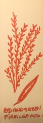 Plant ID
