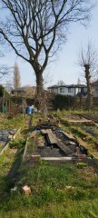 The Vegetable Patch Mark 2