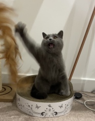 Thread 1 - Lifeboat Muster Point for TalkExiles