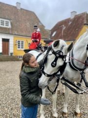 Royal Style: On with the chic, and the royal mystique! 