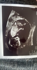 Scan pic- nub theory gender guesses for fun 💜💚