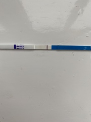 Indent….evap line??? 