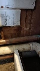 In despair over very damp wall following a bathroom 'accident' - what to do for the best??