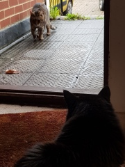 Ollie, Prince, Leroy, Walter and Co...