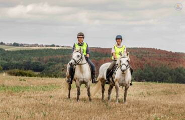 To feel sorry for people with horses?