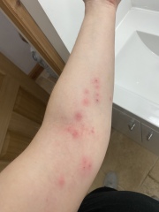 The best deals and discounts Black Friday 2022