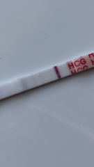 Honest opinion on test 