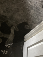 To say no phones charging on beds (pics included)