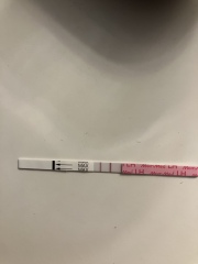 Ovulation after miscarriage?
