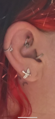 Do you have several ear piercings? Please can I see?