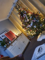 Non judgemental Christmas Decorations thread. 