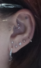 Do you have several ear piercings? Please can I see?