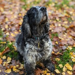 Show me your autumn pics :-)