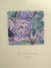 Thread 43 - GCSE Covid Cohort ..November 22 Remember Remember 