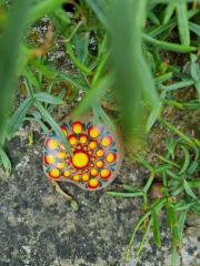 Taking painted rocks on holiday