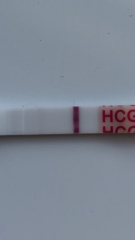 Honest opinion on test 