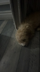 Pre Christmas 22 Boot Camp: Week 6