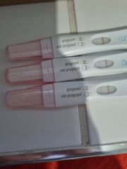 Due July 2023