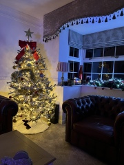 Non judgemental Christmas Decorations thread. 