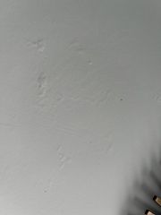 Cracks in newly skimmed walls (pic)