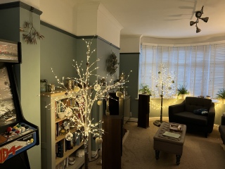 Non judgemental Christmas Decorations thread. 