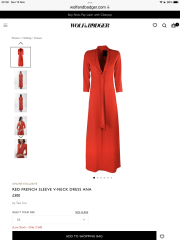 Evening Dress