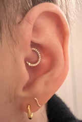 Do you have several ear piercings? Please can I see?