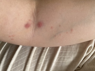 The best deals and discounts Black Friday 2022