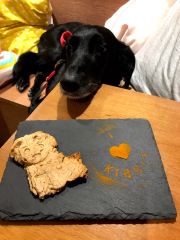 Anyone up for a 'My Dog POV' thread?