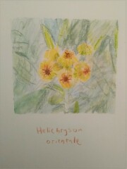 Thread 43 - GCSE Covid Cohort ..November 22 Remember Remember 