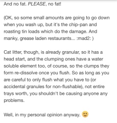 How to own a cat without the house smelling like a litter tray?