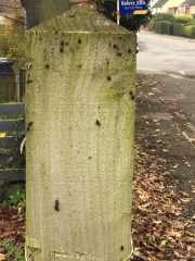 Woodworm help - outside (with pics)
