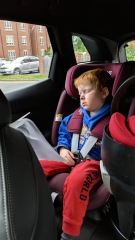 Please help me find this car seat - I don't think it exists!