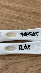 I am 5 weeks pregnant 
