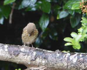 Thread 1 - Lifeboat Muster Point for TalkExiles