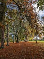 Show me your autumn pics :-)