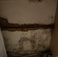 HELP! I have mould and a cold kitchen and I’m not sure what to do to fix this problem!!