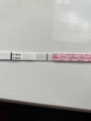 End of November testers (TTC August Baby)
