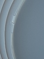 Light fittings help