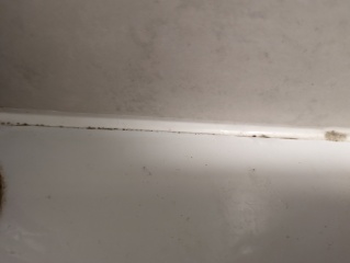 Best way to remove black mould from bathroom sealant?