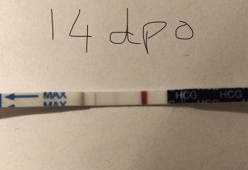 Spotting after bfp - advice/positive stories
