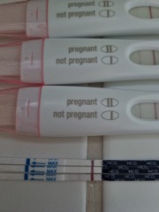Due July 2023