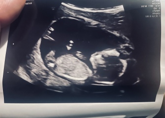 Scan pic- nub theory gender guesses for fun 💜💚