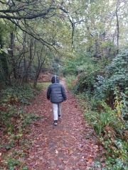 Come chat hiking with me!