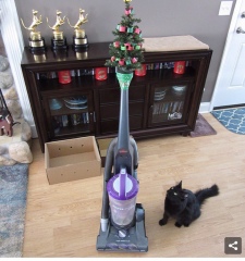 Christmas decs with kittens!