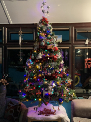 Non judgemental Christmas Decorations thread. 