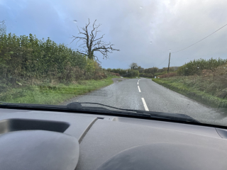What did we see this afternoon?