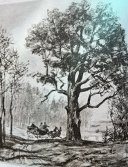 War and Peace readalong thread 2022 - thread 3