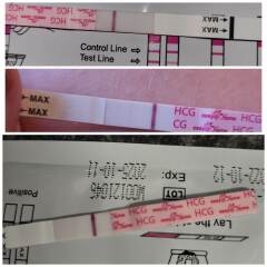 9dpo-13dpo tests are hardly progressing?